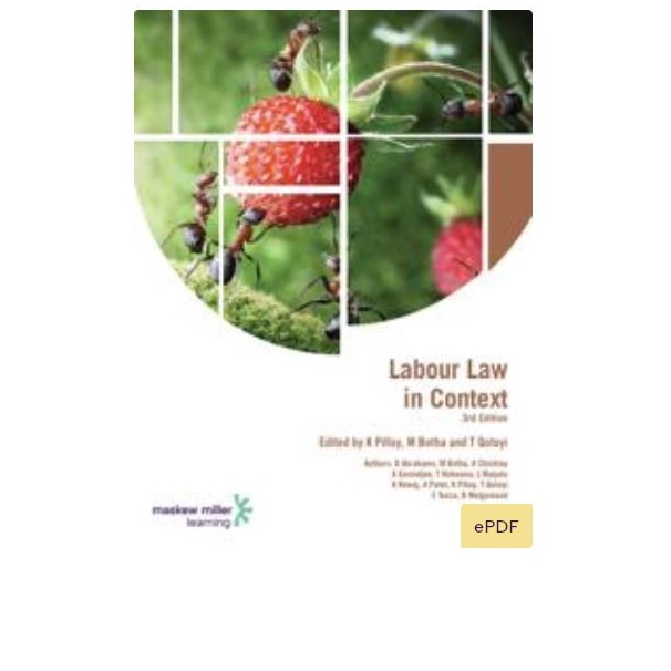 Labour Law in Context 3rd edition