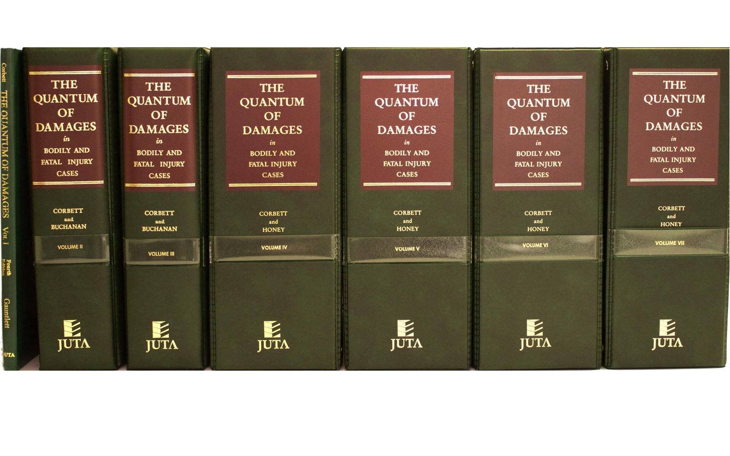 The Quantum of Damages in Bodily and Fatal Injury Cases
